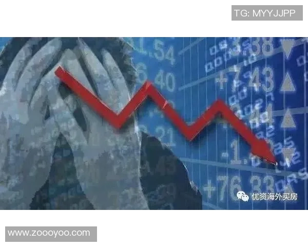 西涅经济危机：居民生活的深重困境与希望之光